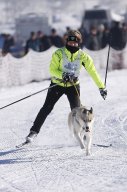 Lenk 2013
